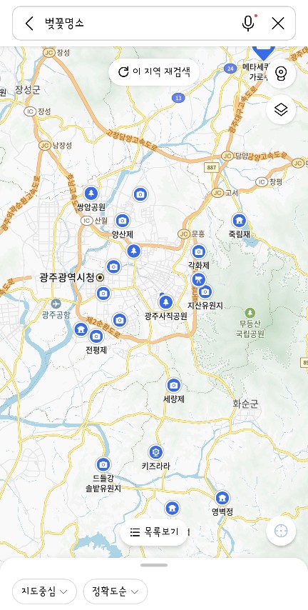 다음 지도 벚꽃