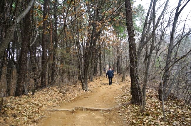 산속 숲길 등산로, 부드러운 흙길, 가운데 남성 1, 위 아래 검은 옷,
