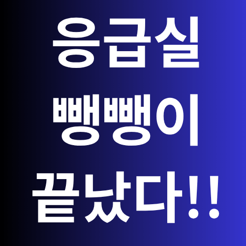 응급실 뺑뺑이 방지법