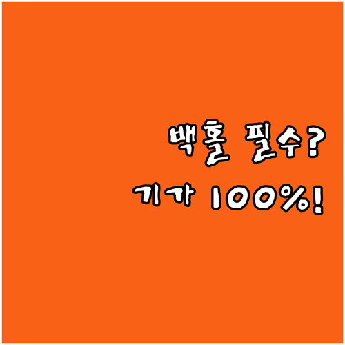 기가비트 속도 100% 메쉬 와이파이..
