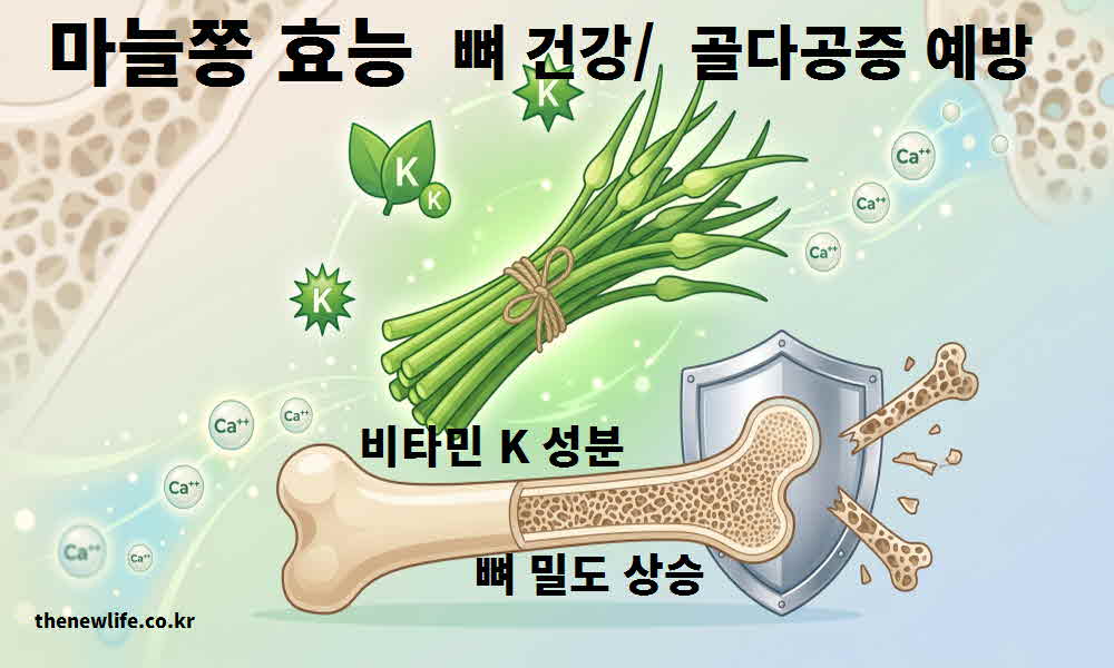 마늘쫑 효능 뼈 건강 골다공증 예방