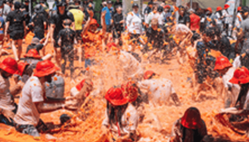 2025 화천토마토축제 가이드: 숙박, 맛집, 프로그램 총정리!