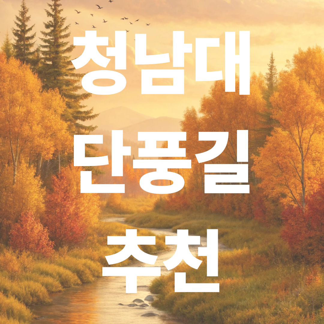 청남대 단풍길 추천｜대청호 뷰 따라 걷는 황금빛 힐링코스