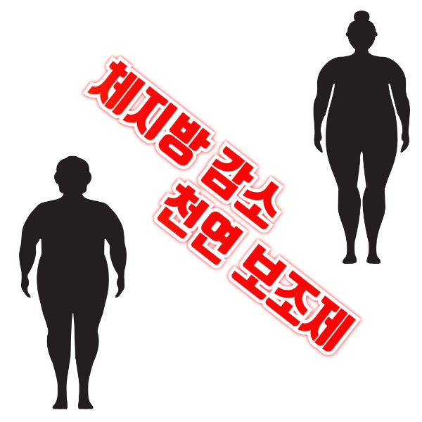 체지방 감소 천연 보조제