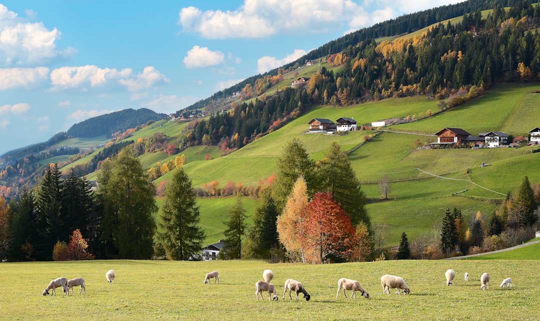 농지연금의 영어 번역은 Farm Land Pension입니다.