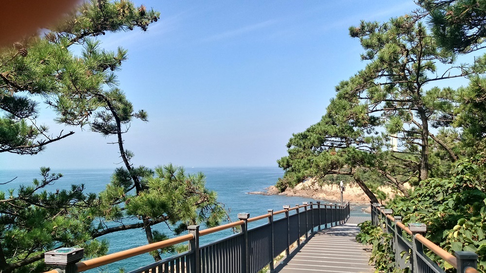'비응 마파지길' 산책로 모습