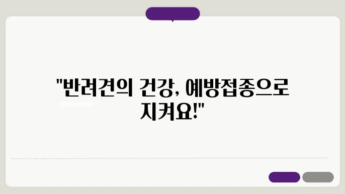 애견 예방접종 시기