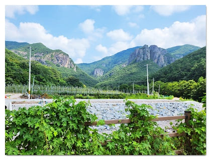 주왕산31