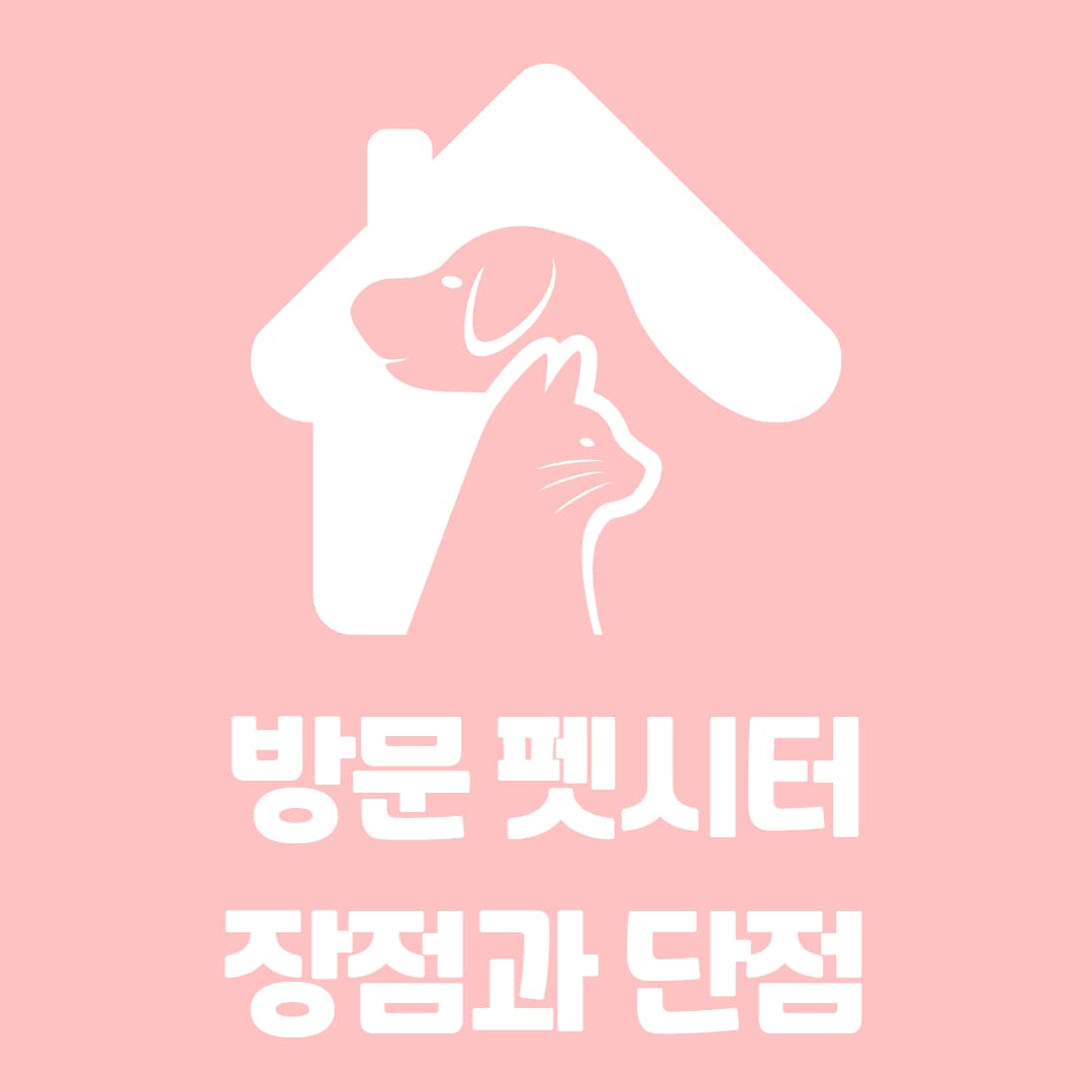 강아지 고양이 방문 펫시터 장점과 단점 알아보기
