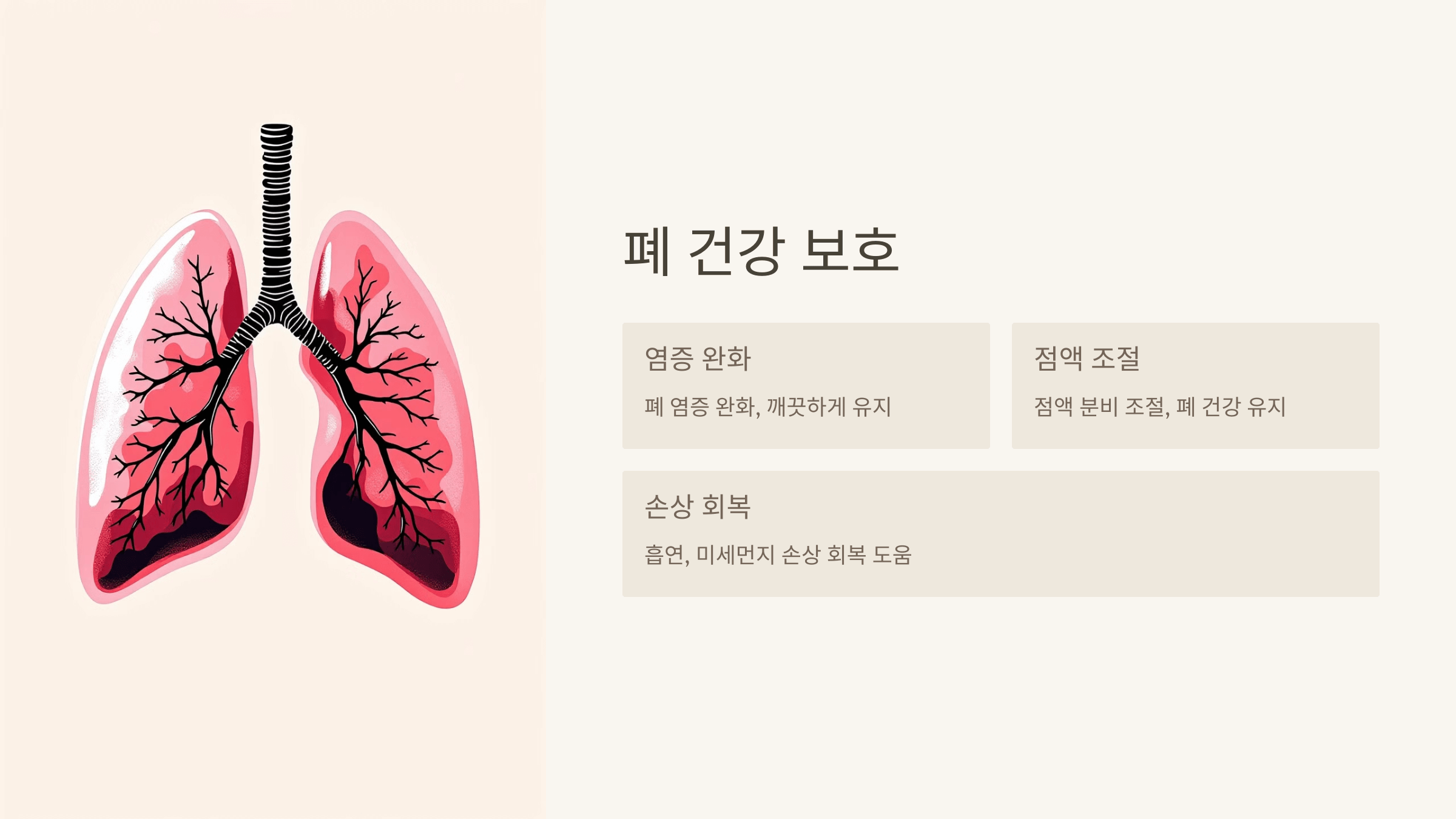 도라지 사진입니다.