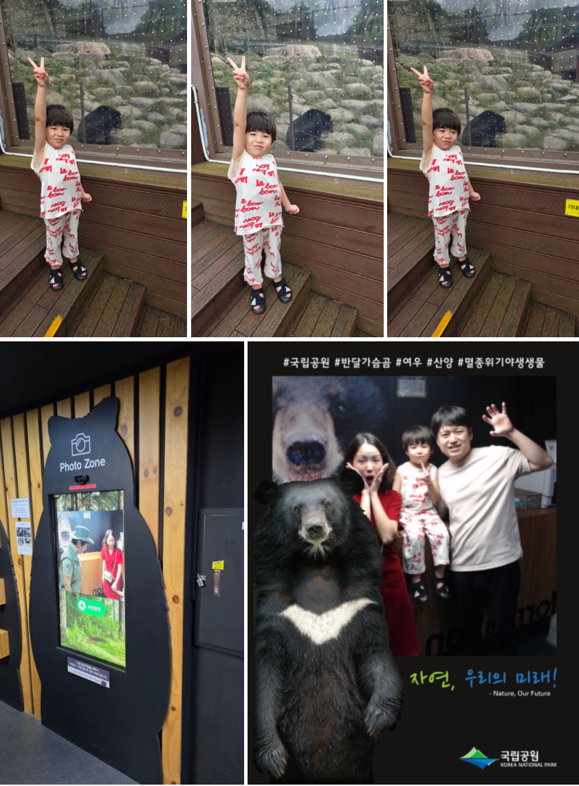 국립공원야생생물보전원 남부보전센터 반달가슴곰 탐방 후기 (우리의 친구 반달가슴곰을 만나요)