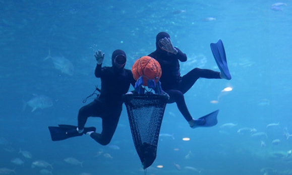 제주도에서 비 오는 날 갈만한 곳 5곳