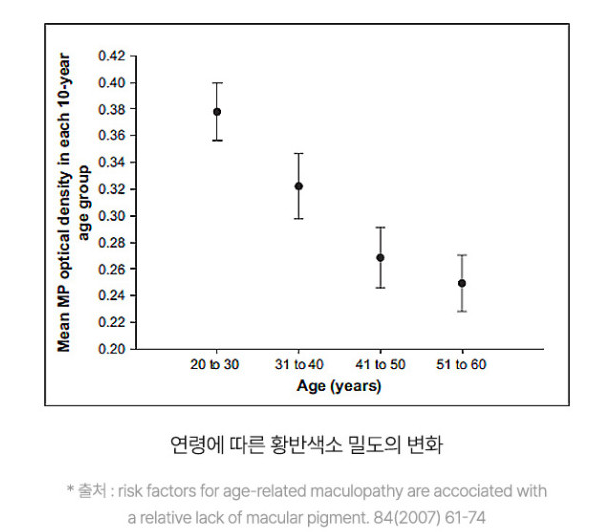 황반 색소밀도 변화