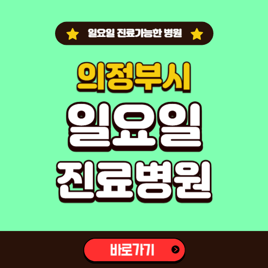 의정부시 일요일 진료 가능한 병원 ❘ 주말 문여는 곳 총정리 (소아과, 내과, 안과, 치과, 피부과, 정형외과, 산부인과)