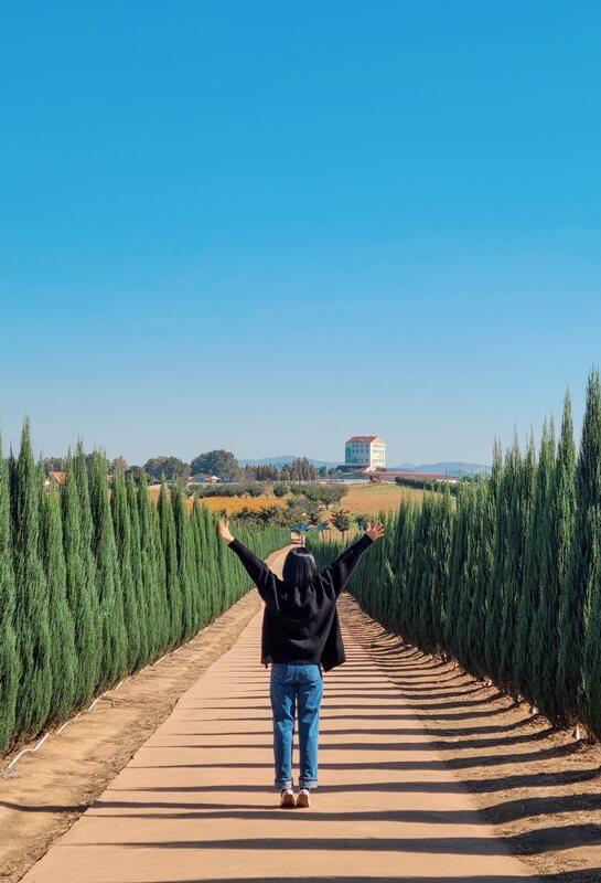 블루애로우길-가운데서-팔벌리고있는-뒷모습