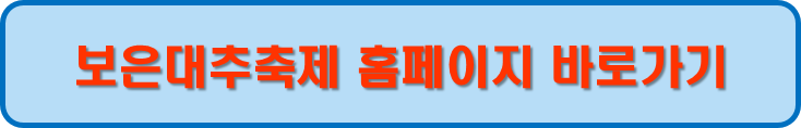 보은대추축제홈페이지