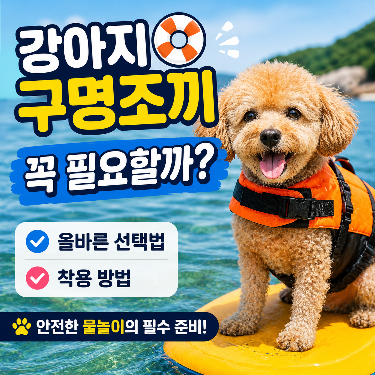 강아지와 계곡에서 놀 때 꼭 알아야 할 안전수칙 10가지