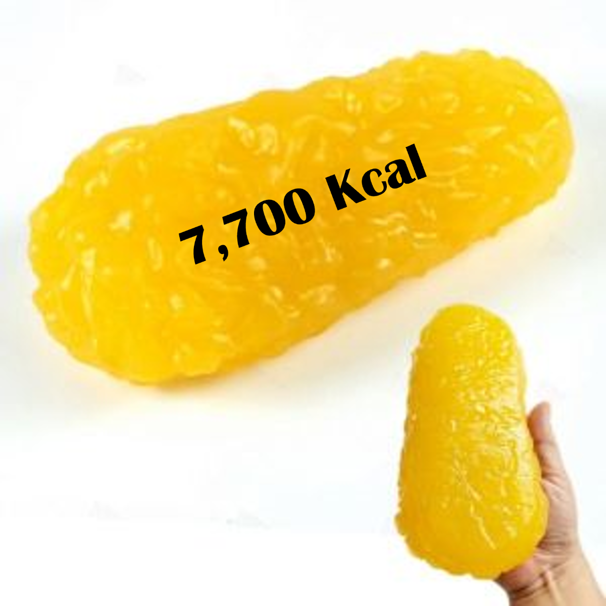 체자방 1kg 모형
