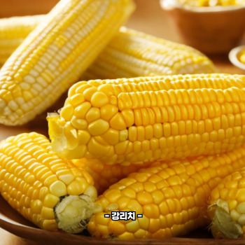 초당옥수수 부작용