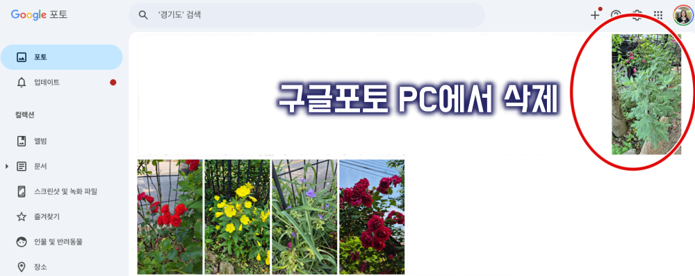 구글포토 PC 사진 삭제