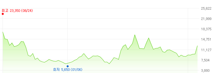 레이저쎌-주가변화