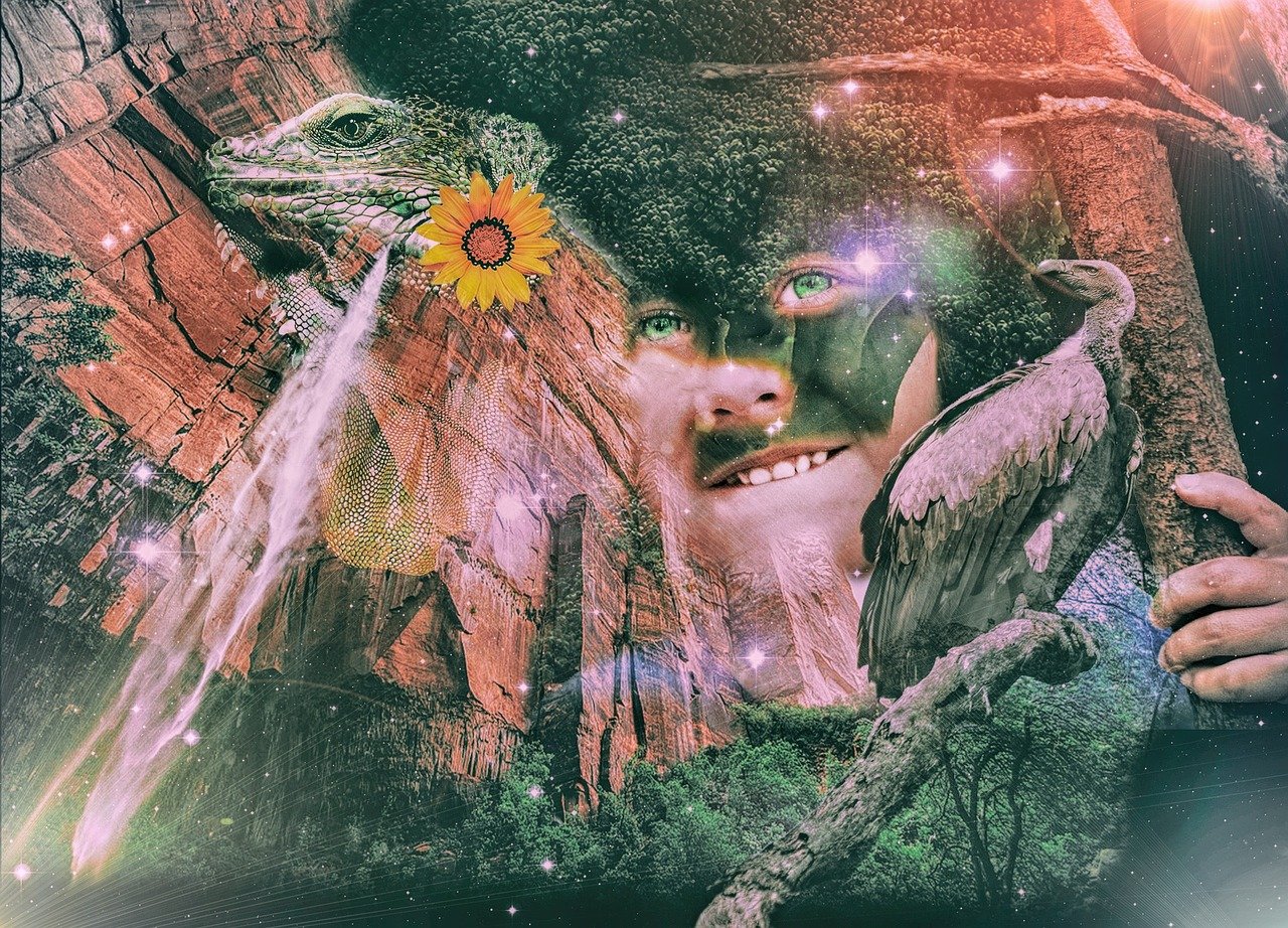 비트버니 퀴즈 정답 4월15일 사용법