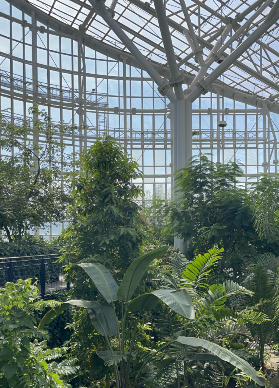 국립 세종수목원 사계절 전시온실 열대식물전시원 