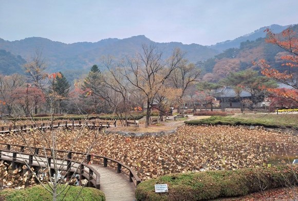 홍천 공작산 수목원(생태숲) 완벽 가이드: 수타사와 함께하는 힐링 산책 여행