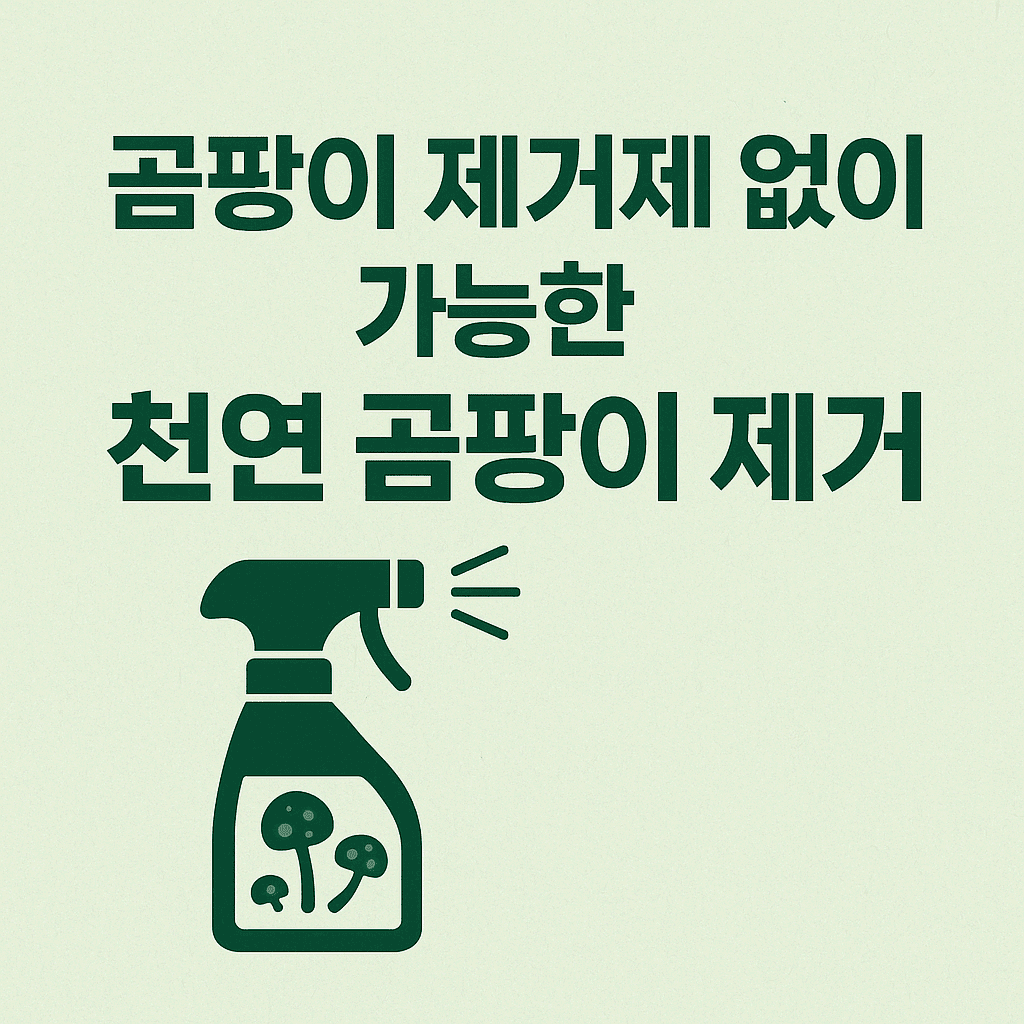 곰팡이 제거제 없이 가능한 천연 곰팡이 제거