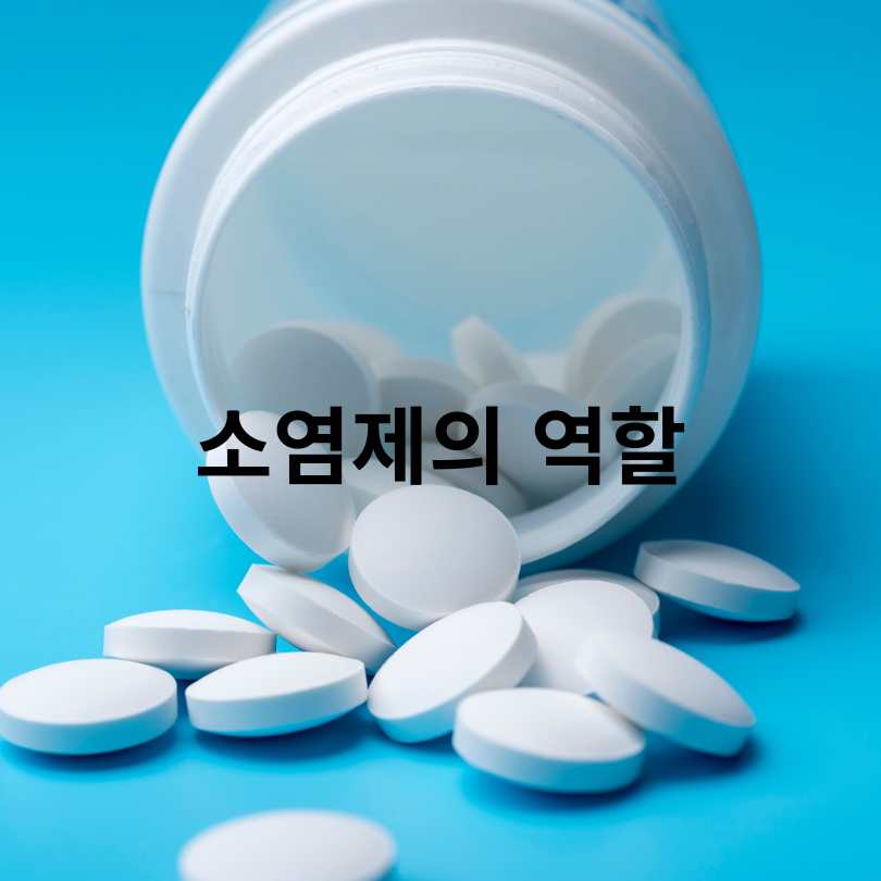 항생제와 소염제 차이 완벽 정리