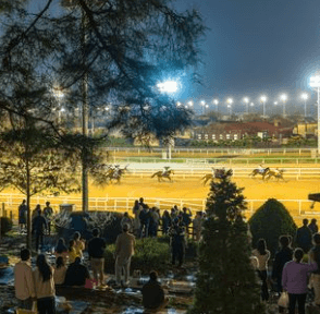 2024 렛츠런파크 서울 가을축제 밤마실 페스티벌