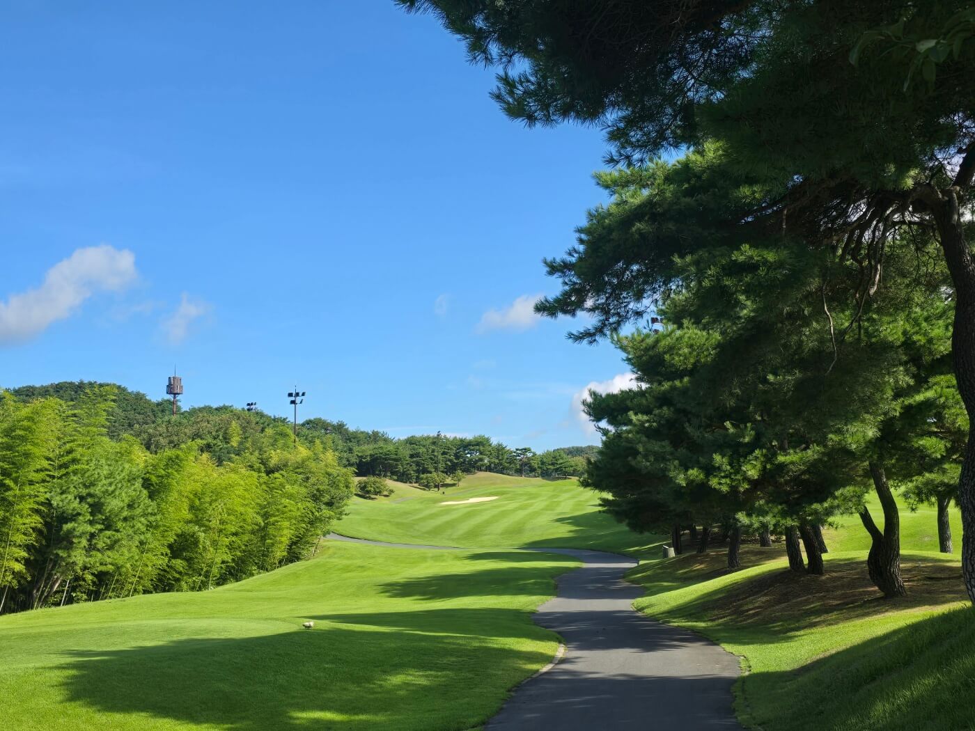 동부산 cc 코스 사진1