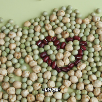 녹두 보관법