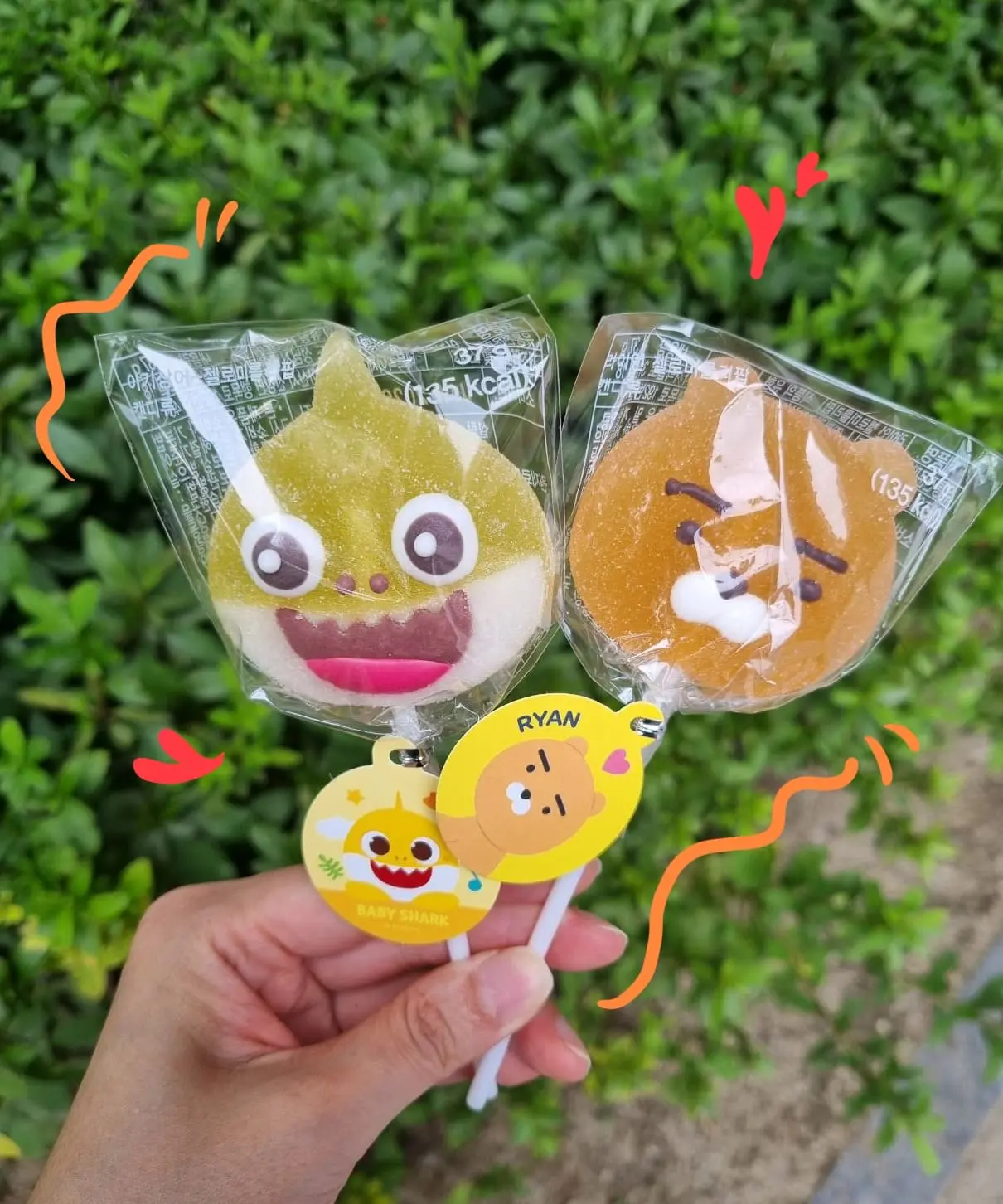 시험관 시술 4일배양 2개 이식