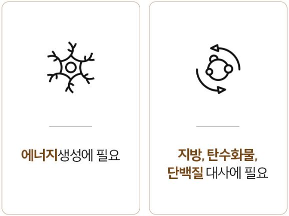 솔가 비오틴 5000