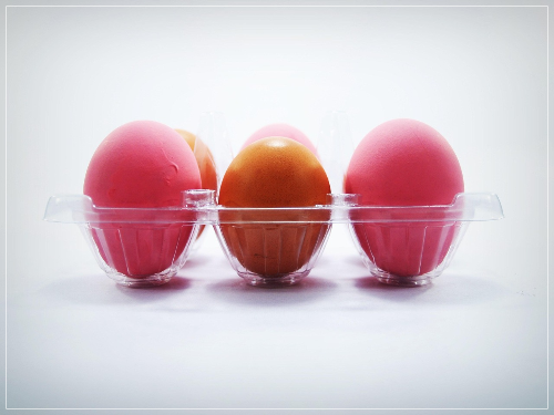 신선한 계란 콜레스테롤