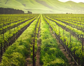 귀농에 대하여 알아보기