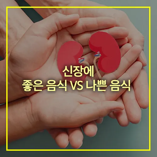 신장에 좋은 음식 나쁜 음식