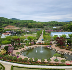 용인 자작나무숲 - 애견동반 입장료 펜션 예약