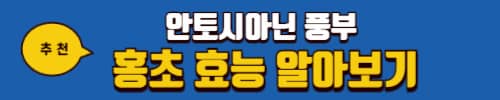 오디 효능 7가지