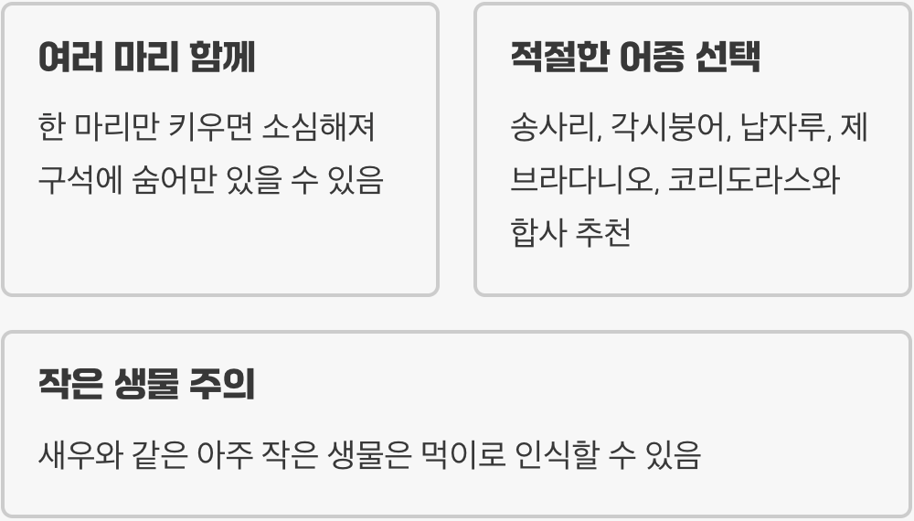 혼자는 외로워요, 합사 정보
