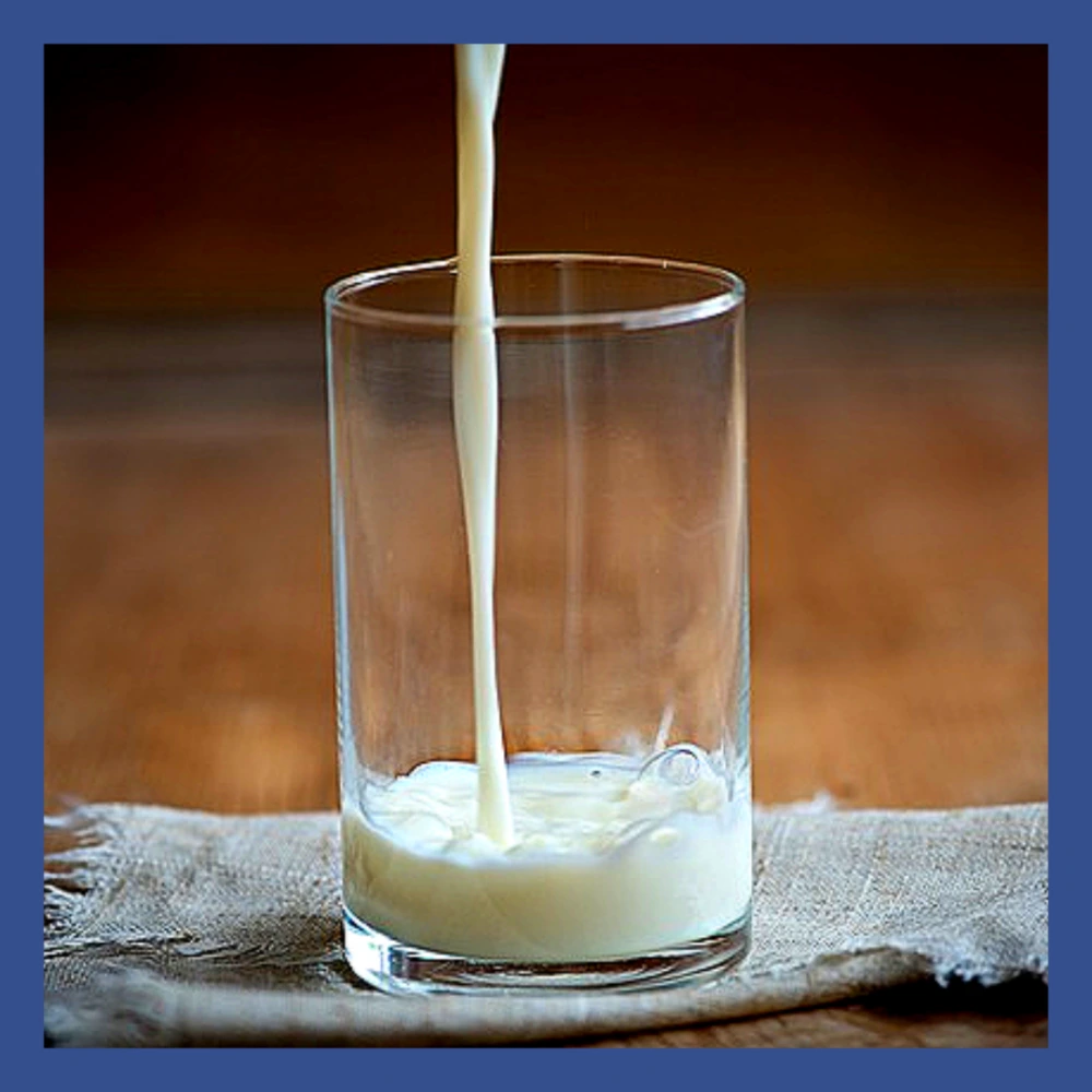 매일유업-회수-세척수-제품