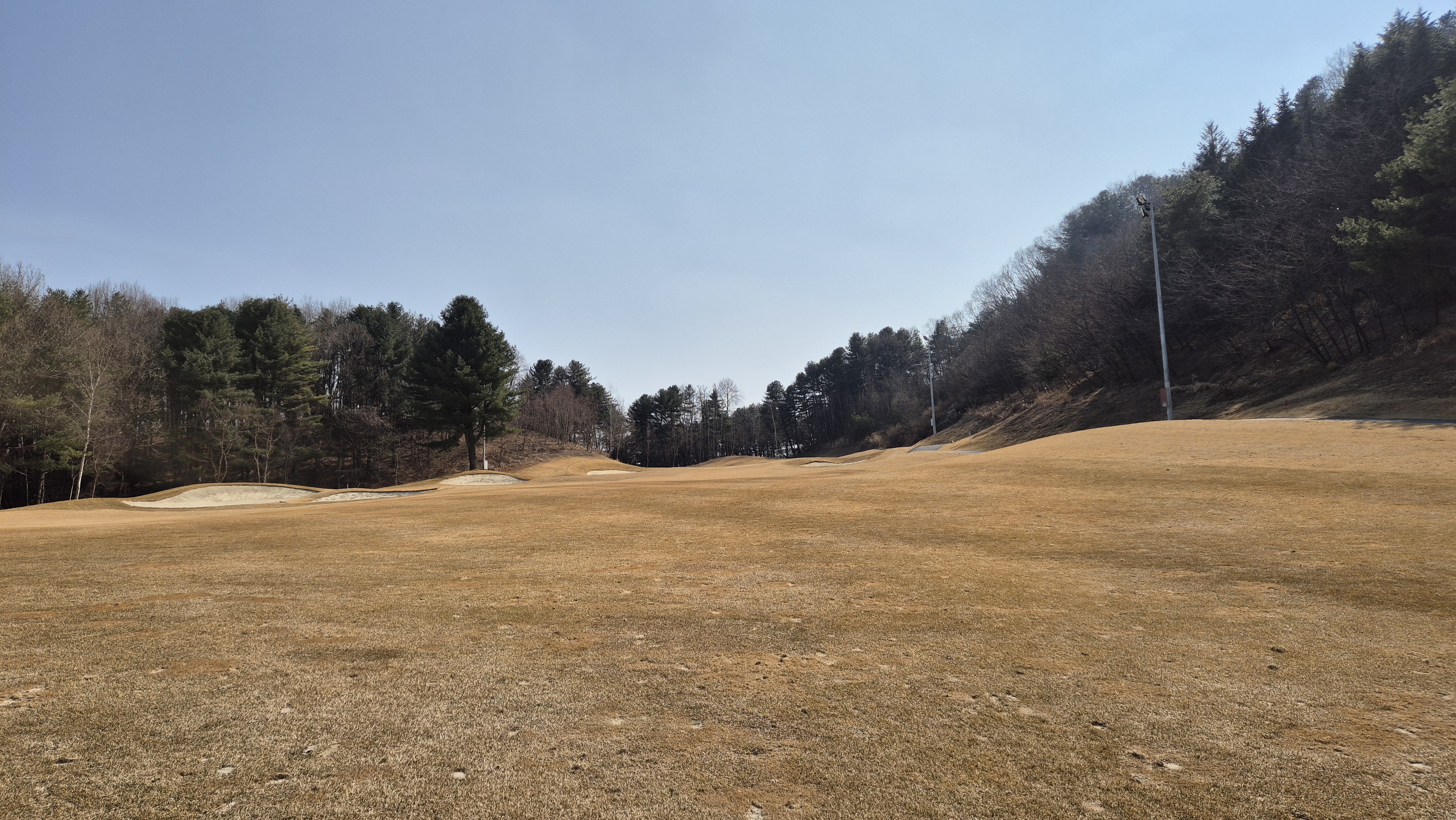 아난티코드gc 잣나무-느티나무 코스 사진 및 공략 정보