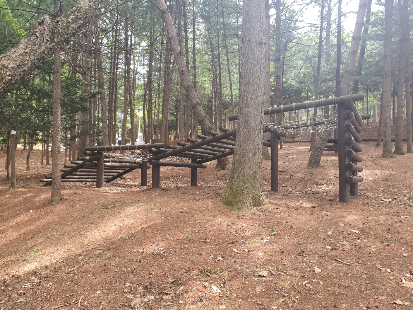 봉래산산림욕장