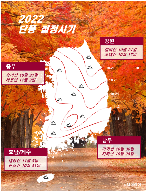 웨더아이-단풍절정시기