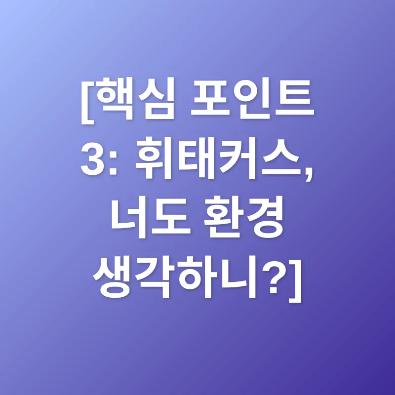 휘태커스 초콜릿_3