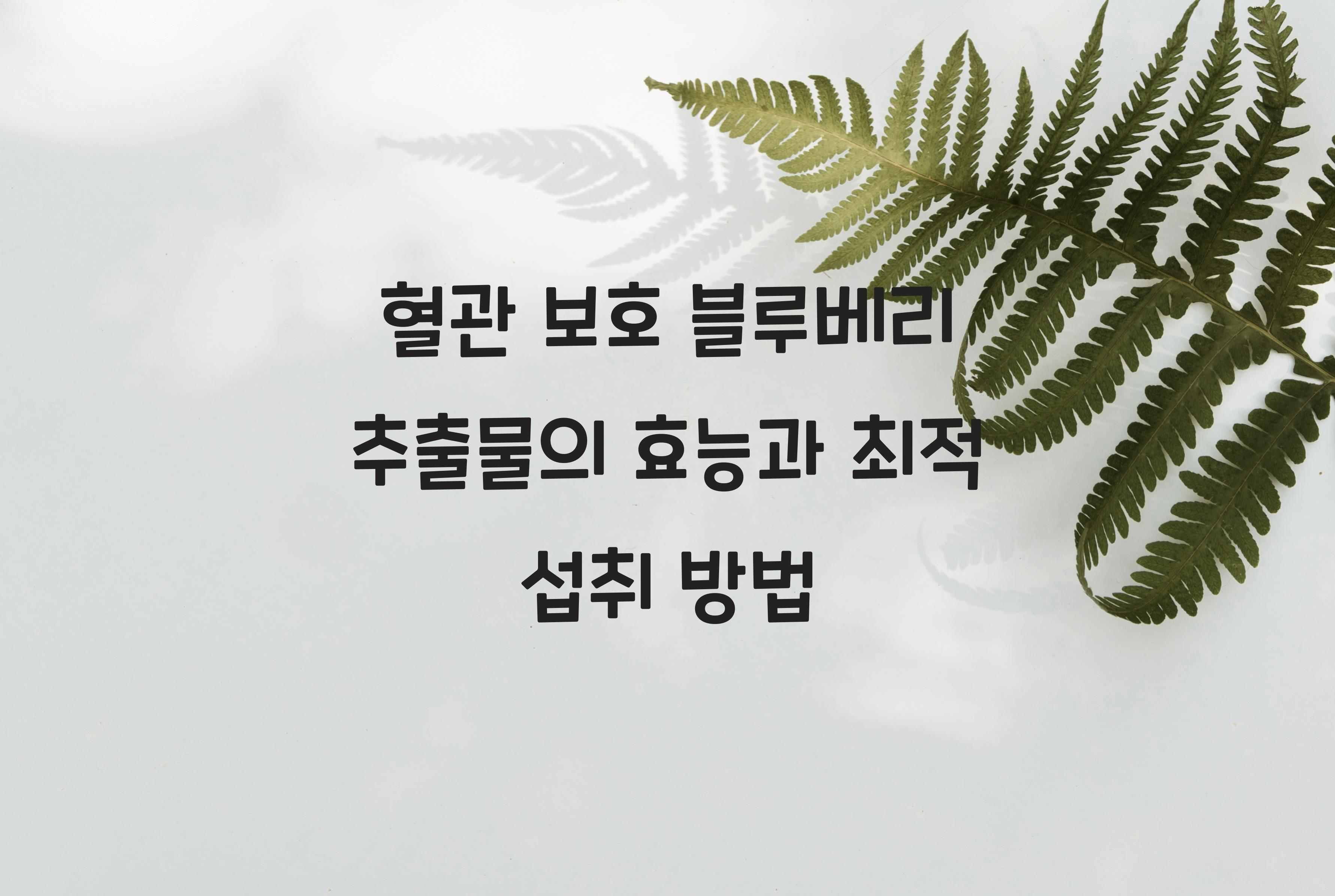 혈관 보호 블루베리 추출물