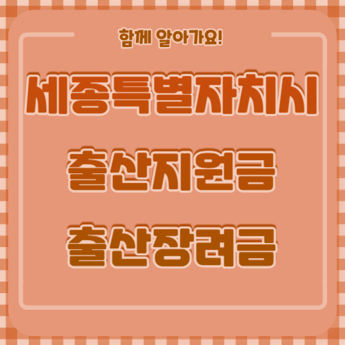 세종특별자치시 출산지원금 출산장려금