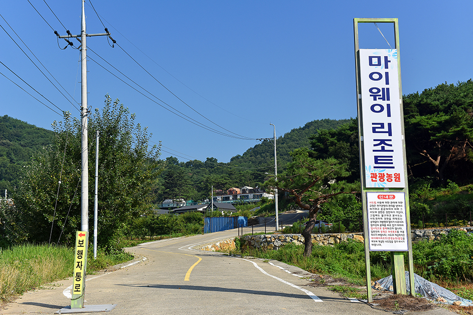 마이웨이 리조트 관광농원