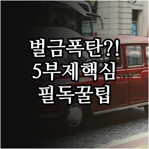 자동차 5부제 요일별 제한 번호와 비..